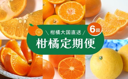 【定期便】えひめかんきつ定期便 全6回 ＜みかん 柑橘 フルーツ 定期便 国産 愛媛県 ＞ ※2026年11月～発送