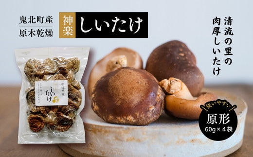 【神楽しいたけ】原木乾燥しいたけ（原形 60gx4） ｜ きのこ しいたけ 原木 乾燥しいたけ 肉厚 特産品 愛媛県 鬼北町