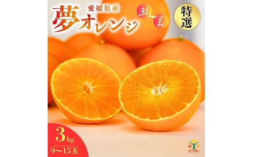 【特選品】 みかん職人の夢おれんじ 3kg 【発送期間：2025年11月中旬～なくなり次第終了】 みかん オレンジ 愛果28号 紅マドンナ と同品種 紅まどんな と同品種 柑橘 果物 果実 フルーツ かんきつ デザート ミカン 夢オレンジ 贈答 プレゼント ギフト 贈り物 特選 年末 年始 愛媛県 愛南町 みかん職人武田屋