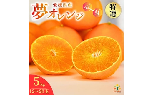 【特選品】 みかん職人の夢オレンジ ５kg 【発送期間：2025年11月中旬～なくなり次第終了】 みかん 愛果28号 紅マドンナ と同品種 紅まどんな と同品種 柑橘 果物 果実 フルーツ かんきつ デザート ミカン 夢オレンジ 贈答 プレゼント ギフト 贈り物 特選 期間限定 数量限定 年末 年始 愛媛県 愛南町 みかん職人武田屋