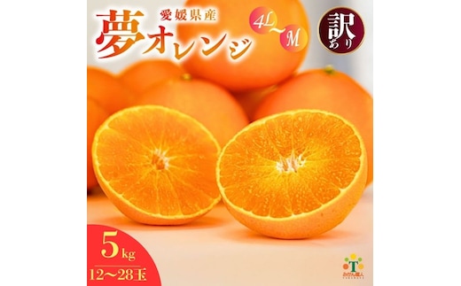 【訳あり】 みかん職人の夢おれんじ 5kg【発送期間：2025年11月中旬～1月下旬】 みかん オレンジ 愛果28号 紅マドンナ と同品種 紅まどんな と同品種 柑橘 果物 果実 フルーツ かんきつ デザート ミカン 夢オレンジ 訳あり 訳アリ わけあり 期間限定 数量限定 年末 年始 愛媛県 愛南町 みかん職人武田屋