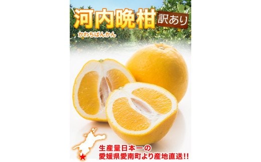 【先行予約】 訳あり 河内晩柑 5kg サイズミックス お試し 家庭用 樹齢 20年 以上 古木 和製 グレープフルーツ 愛南ゴールド 直送 フルーツ 人気 柑橘 爽やか 甘み ジューシー 果汁 旬の果物 くだもの みかん サイズ不揃い 産地直送 農園直送 春 味覚 初夏 デザート ジュース おすすめ 生搾り デザート ゼリー 愛媛県 愛南町 清家ばんかんビレッジ