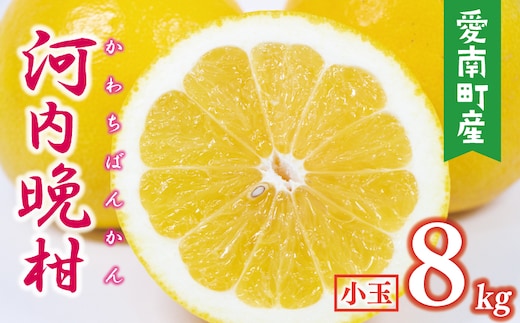 数量限定 先行予約 河内晩柑 樹齢 25年以上 小玉 8kg （ Mサイズ ） 9000円 みかん mikan 蜜柑 ミカン かわちばんかん 愛南ゴールド あいなん ゴールド 文旦 派生 和製 グレープフルーツ 産地直送 国産 農家直送 期間限定 特産品 ゼリー ジュース アイス 等に 人気 限定 甘い さわやか フルーツ 果物 柑橘 蜜柑 みかんの山祥 愛南町 愛媛県