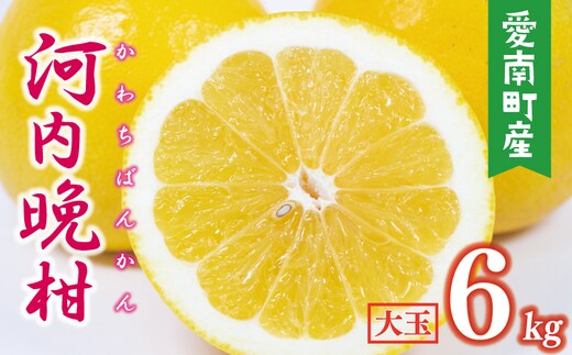 数量限定 先行予約 河内晩柑 樹齢 25年以上 大玉 6kg （ 2Lサイズ 以上 ） 8000円 みかん mikan 蜜柑 ミカン かわちばんかん 愛南ゴールド あいなん ゴールド 文旦 派生 和製 グレープフルーツ 産地直送 国産 農家直送 期間限定 特産品 ゼリー ジュース アイス 等に 人気 限定 甘い さわやか フルーツ 果物 柑橘 蜜柑 みかんの山祥 愛南町 愛媛県