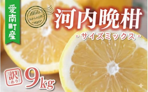 数量限定 先行予約 河内晩柑 樹齢 25年以上 訳あり 9kg （ Mサイズ 以上 ） 9000円 みかん mikan 蜜柑 ミカン わけあり かわちばんかん 愛南ゴールド あいなん ゴールド 文旦 派生 和製 グレープフルーツ 産地直送 国産 農家直送 期間限定 特産品 ゼリー ジュース アイス 等に 人気 限定 甘い さわやか フルーツ 果物 柑橘 蜜柑 みかんの山祥 愛南町 愛媛県