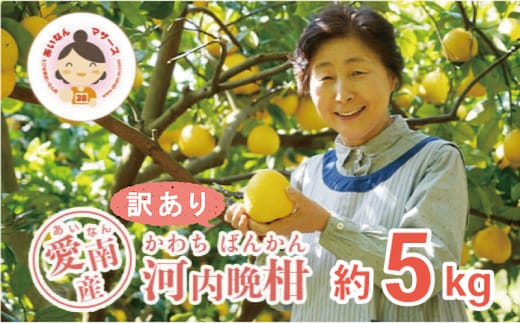 先行予約 訳あり 河内晩柑 5kg 7000円 みかん かわちばんかん わけあり ミカン mikan 愛南ゴールド あいなん ゴールド 家庭用 少量 お試し 文旦 グレープフルーツ 和製 家庭用 産地直送 国産 農家直送 期間限定 数量限定 ビタミン 特産品 ゼリー ジュース 人気 限定 さわやか 甘い フルーツ 果物 柑橘 蜜柑 規格外 あいなんマザーズ 愛南町 愛媛県