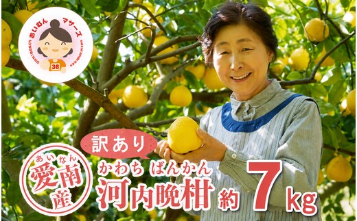 数量限定 先行予約 訳あり 河内晩柑 7kg 7000円 みかん わけあり かわちばんかん mikan 蜜柑 ミカン 愛南ゴールド あいなん ゴールド 文旦 派生 和製 グレープフルーツ 産地直送 国産 農家直送 期間限定 特産品 ゼリー ジュース アイス 等に 人気 限定 甘い さわやか フルーツ 果物 柑橘 規格外 あいなんマザーズ 愛南町 愛媛県