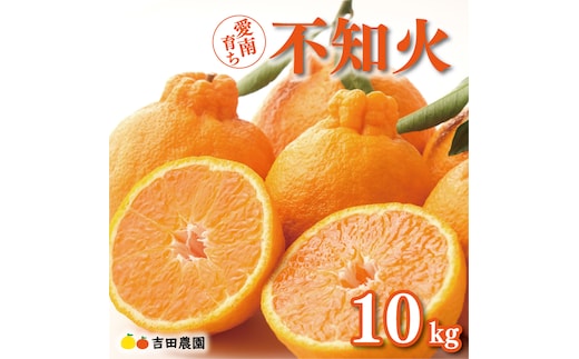 数量限定 先行予約 不知火 10kg 24000円 みかん しらぬい デコポン と 同品種 mikan 蜜柑 ミカン 産地直送 国産 農家直送 期間限定 特産品 ゼリー ジュース アイス 等に 人気 限定 甘い 果実 果肉 フルーツ 果物 柑橘 美味しい おいしい ジューシー 吉田農園 愛南町 愛媛県