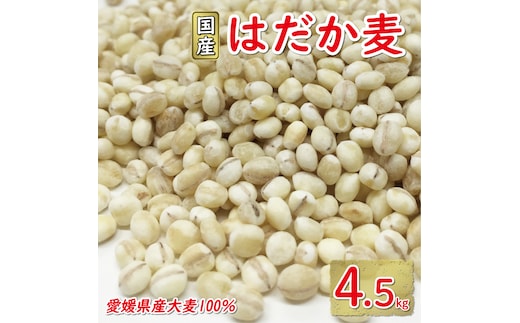 はだか麦 900g 5個セット 10000円 国産 大麦 麦 麦ごはん むぎごはん 水溶性 食物繊維 腸内環境 ダイエット 健康 マルヤス味噌 愛南町 愛媛県