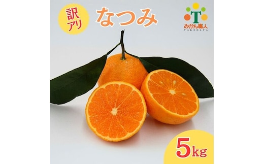 【先行予約】訳あり みかん職人の なつみ 5kg フルーツ 果物 みかん職人 果物 オレンジ フルーツ 柑橘 みかん 愛媛県 愛南町 みかん職人武田屋 