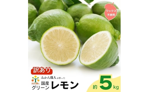 訳あり レモン （ グリーンレモン ） りのか 5kg 【発送期間:8月上旬～】 減農薬 柑橘 檸檬 果物 くだもの 果実 国産 フルーツ 有名 愛媛 みかん職人武田屋 ブランド ビタミン 美味しい 生産者 直送 産直 無添加 レモンサワー ジュース チューハイ