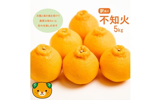 【先行予約】訳あり 不知火 5kg 減農薬 サイズミックス 不揃い 愛南フルーツ 発送時期：2027年3月下旬～なくなり次第終了