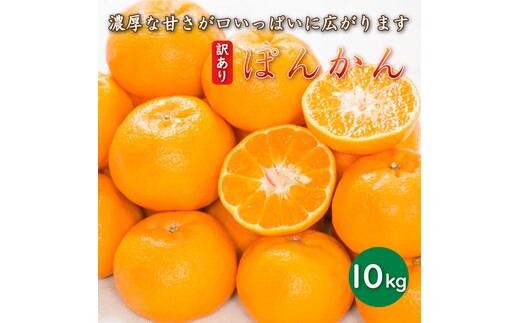 【先行予約】 訳あり 減農薬 ポンカン 10kg 愛南フルーツ サイズミックス サイズ混合 不揃い 柑橘 蜜柑 愛媛 みかん 果物 フルーツ 産地 産直 発送期間: 2027年1月中旬～なくなり次第終了
