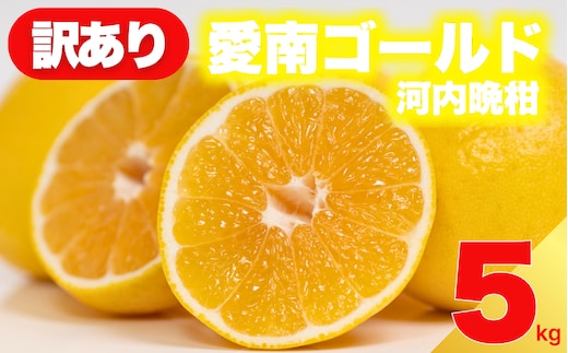 【 先行予約 】 訳あり 減農薬 愛南ゴールド 河内晩柑 5kg サイズ ミックス 家庭用 産直 農家直送 和製 グレープフルーツ 家庭用 甘い 爽やか 瑞々しい ジューシー 濃厚 旨味 酸味 旬 初夏 柑橘 みかん 蜜柑 不揃い サイズ混合 フレッシュジュース ジュース ゼリー ジャム マーマレード デザート 焼酎割り サワー 先行予約 予約受付 期間限定 数量限定 愛媛県 愛南町 愛南フルーツ