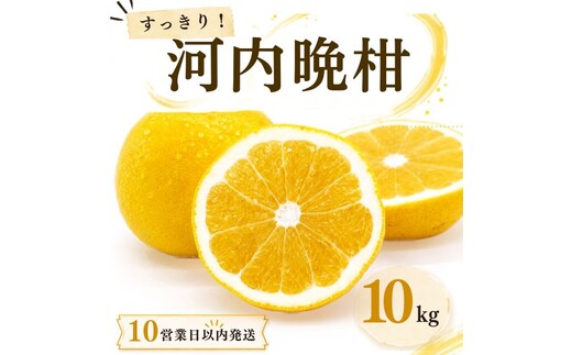 【10営業日以内発送】河内晩柑 ばんかん 約 10kg 家庭 柑橘 かんきつ フルーツ 果物 くだもの すぐ届く 早い 甘い さっぱり 厳選 愛媛 みかん 蜜柑 愛南 ご当地 ブランド 野菜 サラダ ピール ゼリー お菓子 デザート マルエム直販 愛媛県 愛南町