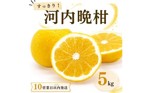 【10営業日以内発送】河内晩柑 ばんかん 約 5kg 家庭 柑橘 かんきつ フルーツ 果物 くだもの すぐ届く 早い 甘い さっぱり 厳選 愛媛 みかん 蜜柑 Mikan 愛南 ご当地 ブランド 野菜 サラダ ピール ゼリー お菓子 デザート マルエム直販 愛媛県 愛南町
