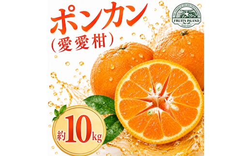 【先行予約】 ポンカン 約10kg 愛愛柑 15000円 ぽんかん みかん 蜜柑 果物 くだもの 果実 柑橘 ミカン mikan フルーツ ゼリー ジュース 甘い ジューシー デザート ブランド 特産品 国産 産直 産地直送 ビタミン 美容 健康 糖度 愛媛県 愛南町