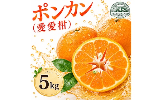 【先行予約】 ポンカン 約5kg 愛愛柑 10000円 ぽんかん みかん 蜜柑 果物 くだもの 果実 柑橘 ミカン mikan フルーツ ゼリー ジュース 甘い ジューシー デザート ブランド 特産品 国産 産直 産地直送 ビタミン 美容 健康 糖度 愛媛県 愛南町