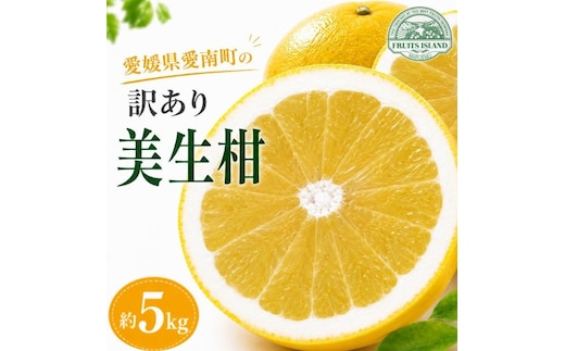 【先行予約】 訳あり 美生柑 みしょうかん 約 5kg 河内晩柑 不揃い サイズミックス 傷あり ばんかん フルーツ 果物 くだもの 文旦 晩生柑 厳選 愛媛 みかん 蜜柑 mikan 愛南 ご当地 ブランド 国産 産地 直送 ゼリー マーマレード デザート フルーツアイランド マルエム直販 愛媛県 愛南町
