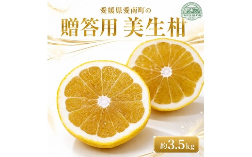 【先行予約】 贈答用 美生柑 みしょうかん 約 3.5kg 河内晩柑 贈答 ギフト プレゼント 正規品 ばんかん フルーツ 果物 果実 くだもの 夏文旦 晩生柑 厳選 愛媛 みかん 蜜柑 mikan 愛南 ご当地 ブランド 母の日 国産 産地 直送 ゼリー マーマレード デザート フルーツアイランド マルエム直販 愛媛県 愛南町