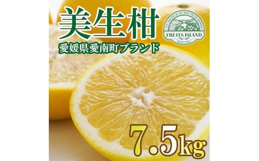 フルーツアイランド・マルエム青果の美生柑(みしょうかん) 7.5kg (なくなり次第終了)
