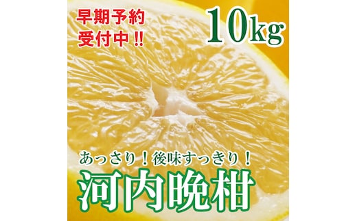 フルーツアイランド・マルエム青果の河内晩柑 10kg (なくなり次第終了)
