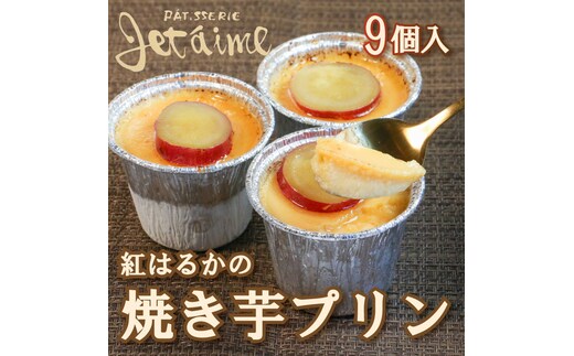 焼き芋 プリン 9個 紅はるか さつまいも お菓子スイーツ デザート 洋菓子 10000円 冷凍 贈答 ギフト 父の日 母の日 ジュテーム 愛媛 愛南