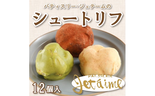 シュートリフ 12個 クリーム チョコレート 贈答 ギフト バレンタイン ホワイトデー 父の日 母の日 お菓子 スイーツ デザート 洋菓子 10000円 冷凍 ジュテーム 愛媛 愛南