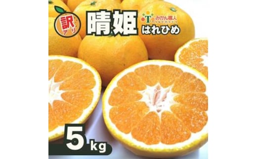 【先行予約】訳あり 晴姫 はれひめ 5kg みかん 蜜柑 柑橘 かんきつ 果物 くだもの ジュース 冬 旬 季節限定 期間限定 数量限定 厳選 産地直送 わけあり 訳あり 傷 きず サイズ混合 サイズミックス ふるさとチョイス ふるさと納税 ふるさと納税みかん チョイス 愛媛県 愛南町 みかん職人武田屋 