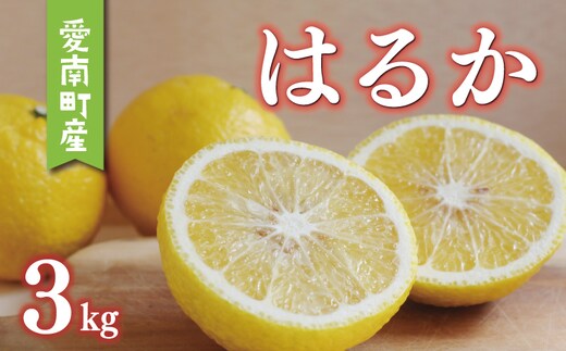 数量限定 先行予約 はるか 3kg 7000円 みかん mikan 蜜柑 ミカン 国産 産地直送 農家直送 期間限定 特産品 ゼリー ジュース アイス 等に 人気 限定 フルーツ 果物 柑橘 甘い おいしい ジューシー お取り寄せ ギフト プレゼント サイズ ミックス あいなんマザーズ 愛南町 愛媛県