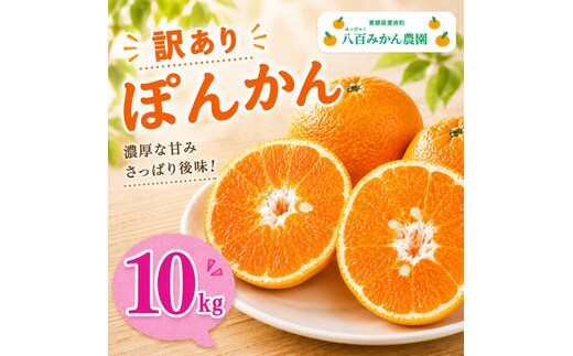 【先行予約】訳あり ぽんかん 10kg <発送期間：2027年1月下旬～無くなり次第終了> 八百みかん農園 の ぽんかん 10000円 家庭用 10kg 先行 事前 予約 受付 みかん 不知火 はるみ 防腐剤不使用 愛媛 産地直送 国産 農家直送 糖度 甘味 果樹園 期間限定 数量限定 特産品 ジュース 人気 限定 愛南 新鮮 果実 さわやか 風味 甘い フルーツ 果物 柑橘 蜜柑