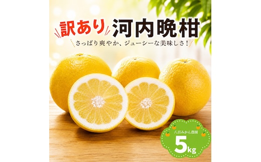 【先行予約】 訳あり 河内晩柑 5kg <発送期間：2027年4月上旬～無くなり次第終了> 八百みかん農園 の かわちばんかん 7000円 家庭用 5kg 先行 事前 予約 受付 みかん 愛南ゴールド 美生柑 文旦 グレープフルーツ 和製 防腐剤不使用 愛媛 産地直送 国産 農家直送 糖度 果樹園 期間限定 数量限定 特産品 ジュース 人気 限定 愛南 新鮮 さわやか 甘い フルーツ 果物 柑橘 蜜柑