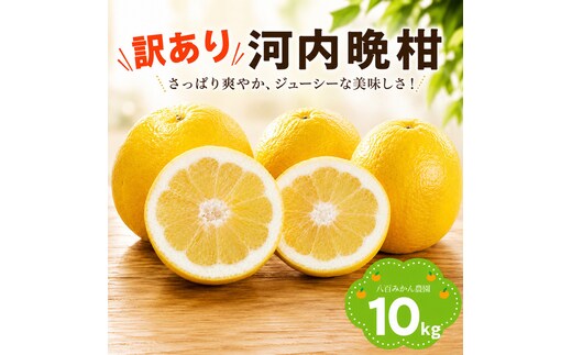 【先行予約】 訳あり 河内晩柑 10kg <発送期間：2027年4月上旬～無くなり次第終了> 八百みかん農園 の かわちばんかん 10000円 家庭用 先行 事前 予約 受付 みかん 愛南ゴールド 美生柑 文旦 グレープフルーツ 和製 防腐剤不使用 愛媛 産地直送 国産 農家直送 糖度 果樹園 期間限定 数量限定 特産品 ジュース 人気 限定 愛南 新鮮 さわやか 甘い フルーツ 果物 柑橘 蜜柑