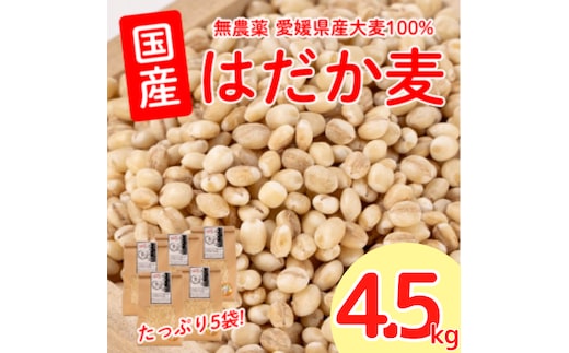 はだか麦 900g 5個セット