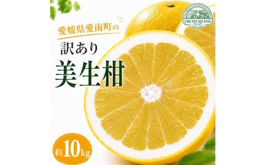 【先行予約】 訳あり 美生柑 みしょうかん 約10kg 河内晩柑 不揃い サイズミックス 傷あり ばんかん フルーツ 果物 くだもの 文旦 晩生柑 厳選 愛媛 みかん 蜜柑 mikan 愛南 ご当地 ブランド 国産 産地 直送 ゼリー マーマレード デザート フルーツアイランド マルエム直販 愛媛県 愛南町