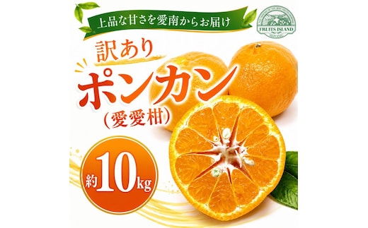 【先行予約】 訳あり ポンカン 約10kg 愛愛柑 14000円 わけあり ぽんかん みかん 蜜柑 果物 くだもの 果実 柑橘 ミカン mikan フルーツ ゼリー ジュース 甘い ジューシー デザート ブランド 特産品 国産 産直 産地直送 糖度 愛媛県 愛南町 フルーツアイランドマルエム直販