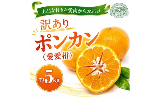 【先行予約】 訳あり ポンカン 約5kg 愛愛柑 9000円 わけあり ぽんかん みかん 蜜柑 果物 くだもの 果実 柑橘 ミカン mikan フルーツ ゼリー ジュース 甘い ジューシー デザート ブランド 特産品 国産 産直 産地直送 糖度 愛媛県 愛南町 フルーツアイランドマルエム直販