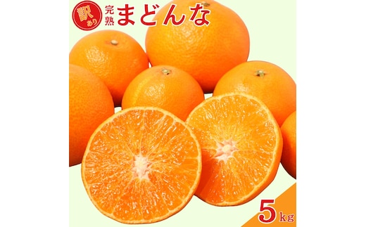 【先行予約：2026年12月上旬～発送】 訳あり 完熟まどんな 5kg サイズミックス みかん 蜜柑 mikan まどんな 愛果28号 人気 ブランド 高級 紅まどんな 同品種 柑橘 果物 フルーツ 甘い おいしい 産地直送 農家直送 国産 特産品 中山農園 愛媛県 愛南町 