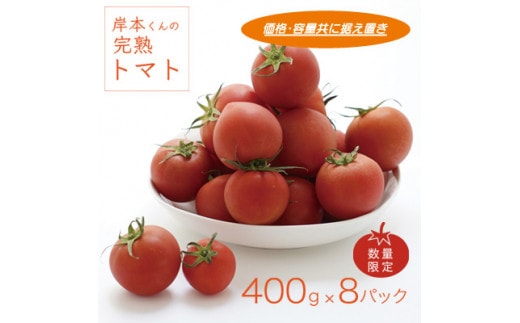 岸本くんの完熟トマト 約3.2kg ( 400g×８パック ) 野菜 産地 直送 人気 国産 愛媛県 愛南町 発送期間：2026年2月1日～6月20日