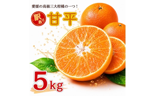 【先行予約：2027年2月中旬～発送】 訳あり 甘平5kg みかん 蜜柑 mikan 甘平 ポンカン 高級 人気 ブランド 柑橘 果物 フルーツ 甘い おいしい お取り寄せ 産地直送 農家直送 国産 特産品 中山農園 愛媛県 愛南町