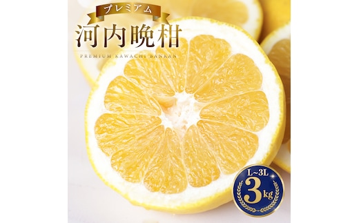 【先行予約】 プレミアム 河内晩柑 3kg L から 3L 優品 贈答用 樹齢 20年 以上 古木 厳選 大玉 果実 特選 直送 和製 グレープフルーツ 愛南ゴールド フルーツ 人気 柑橘 爽やか 甘み ジューシー 果汁 旬の果物 くだもの みかん 産地直送 農園直送 春 味覚 初夏 デザート ジュース おすすめ 生搾り デザート ゼリー 愛媛県 愛南町 清家ばんかんビレッジ