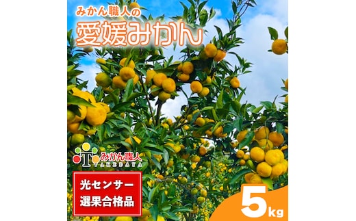 訳あり 愛媛みかん 5kg 【発送期間：9月中旬～1月中旬】光センサー選果 柑橘 果物 国産 フルーツ 蜜柑 大小 ミックス 不揃い 傷 温州 ビタミン 美味しい みかん職人武田屋 愛媛県 愛南町