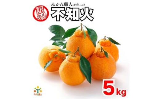 【先行予約】 訳あり 不知火 5kg しらぬい かんきつ 柑橘 みかん 蜜柑 でこぽん おやつ きず 傷 ふぞろい 不揃いフルーツ 果物 くだもの 果実 愛媛県 愛南町 みかん職人武田屋