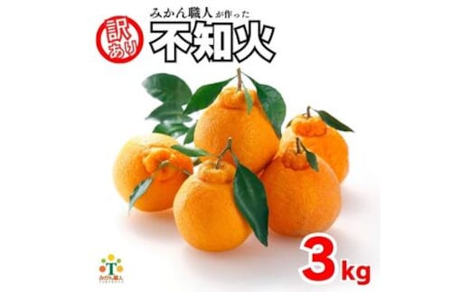 【先行予約】 訳あり 不知火 3kg しらぬい かんきつ 柑橘 みかん 蜜柑 でこぽん おやつ きず 傷 ふぞろい 不揃いフルーツ 果物 くだもの 果実 愛媛県 愛南町 みかん職人武田屋