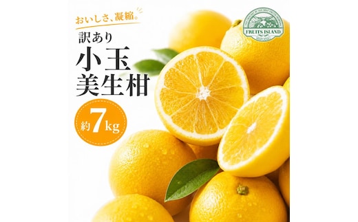 【先行予約】 訳あり 小玉 美生柑 約7kg 河内晩柑 ばんかん 愛媛 みかん 小粒 柑橘 フルーツ 果物 くだもの 果実 夏 文旦 晩生柑 蜜柑 mikan わけあり 傷 規格外 愛南 ご当地 ブランド 国産 産地 直送 ゼリー マーマレード デザート フルーツアイランド マルエム直販 愛媛県 愛南町