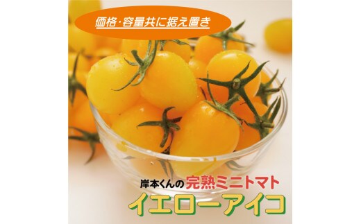 岸本くんの完熟ミニトマト イエローアイコ 180gパック×8 発送期間：2025年12月1日～2026年5月10日