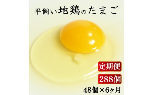 定期便 全6回 平飼い地鶏のたまご 48個×6ヶ月 合計288個 毎月48個 たまご 卵 玉子 生卵 鶏卵 平飼い 岡崎おうはん 地鶏 鳥 鶏 愛知 なごや 岡崎 愛媛 愛南町 ケーキ お菓子 おかず ブランド 希少 送料無料 ローカルスタンダード