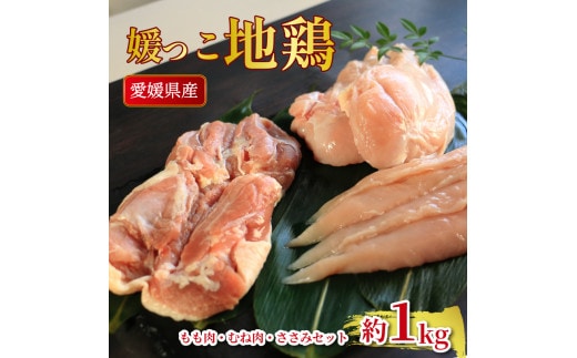 地鶏 愛媛 媛っこ地鶏 もも むね ささみセット 約1kg 鶏肉 鳥肉 肉 チキン むね肉 もも肉 焼肉 焼き鳥 BBQ 冷凍 国産 高級 タンパク質 低脂肪 糖質 唐揚げ チキン南蛮 サラダチキン スープ 出汁 ダイエット 愛南町 送料無料 ローカルスタンダード