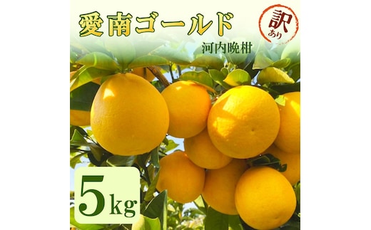 家庭用 愛南ゴールド（河内晩柑）約5kg みかん 蜜柑 河内晩柑 グレープフルーツ 柑橘 果物 フルーツ 前田ファーム 愛媛 愛南 【発送期間 3月下旬～5月上旬 】(なくなり次第終了)