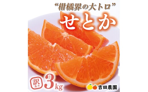 数量限定 先行予約 訳あり せとか 3kg みかん 家庭用 サイズミックス 14000円 高級 人気 ブランド プレミアム 柑橘 果物 フルーツ 期間限定 産地直送 国産 農家直送 わけあり 特産品 お取り寄せ mikan 蜜柑 ミカン オレンジ スマイルカット ビタミン 甘い おいしい 大トロ 不揃い 吉田農園 愛南町 愛媛県